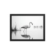 Flamingo - Framed wall art