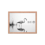 Flamingo - Framed wall art