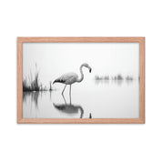 Flamingo - Framed wall art