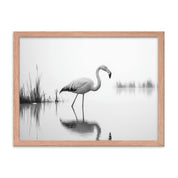 Flamingo - Framed wall art