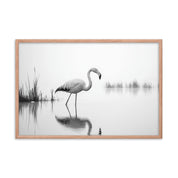 Flamingo - Framed wall art