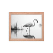 Flamingo - Framed wall art